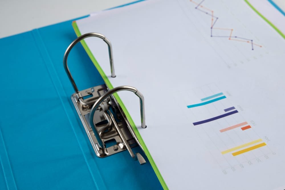 Junior Data Annotator